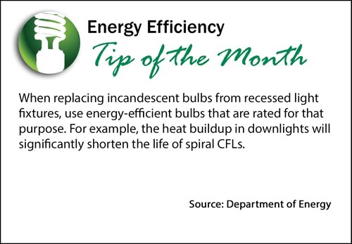 Energy Efficiency Tip of the Month